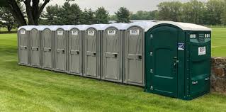 Best Standard Portable Toilet Rental  in Pleasant Hill, MS